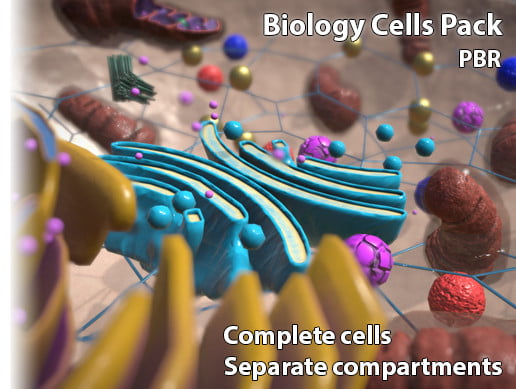 Unity Asset Biology Cells Pack free download