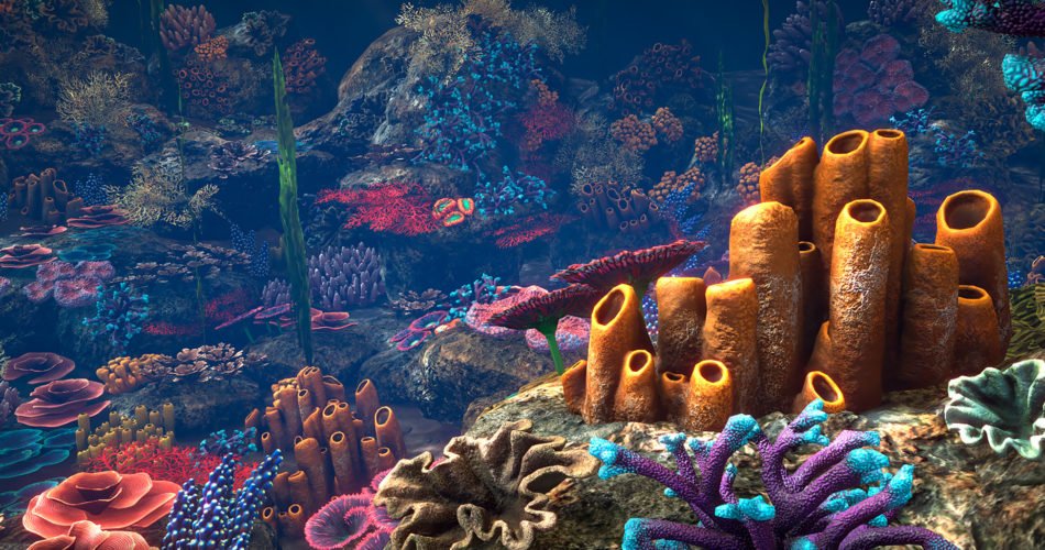 Unity Asset Corals free download
