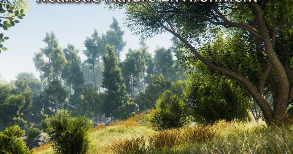 Unity Asset Realistic Nature Environment free download