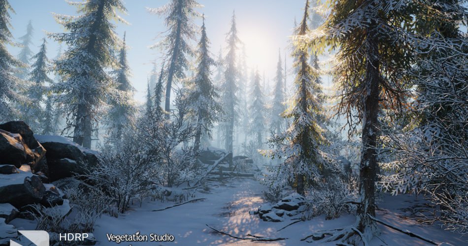 Unity Asset Winter Environment - Nature Pack free download