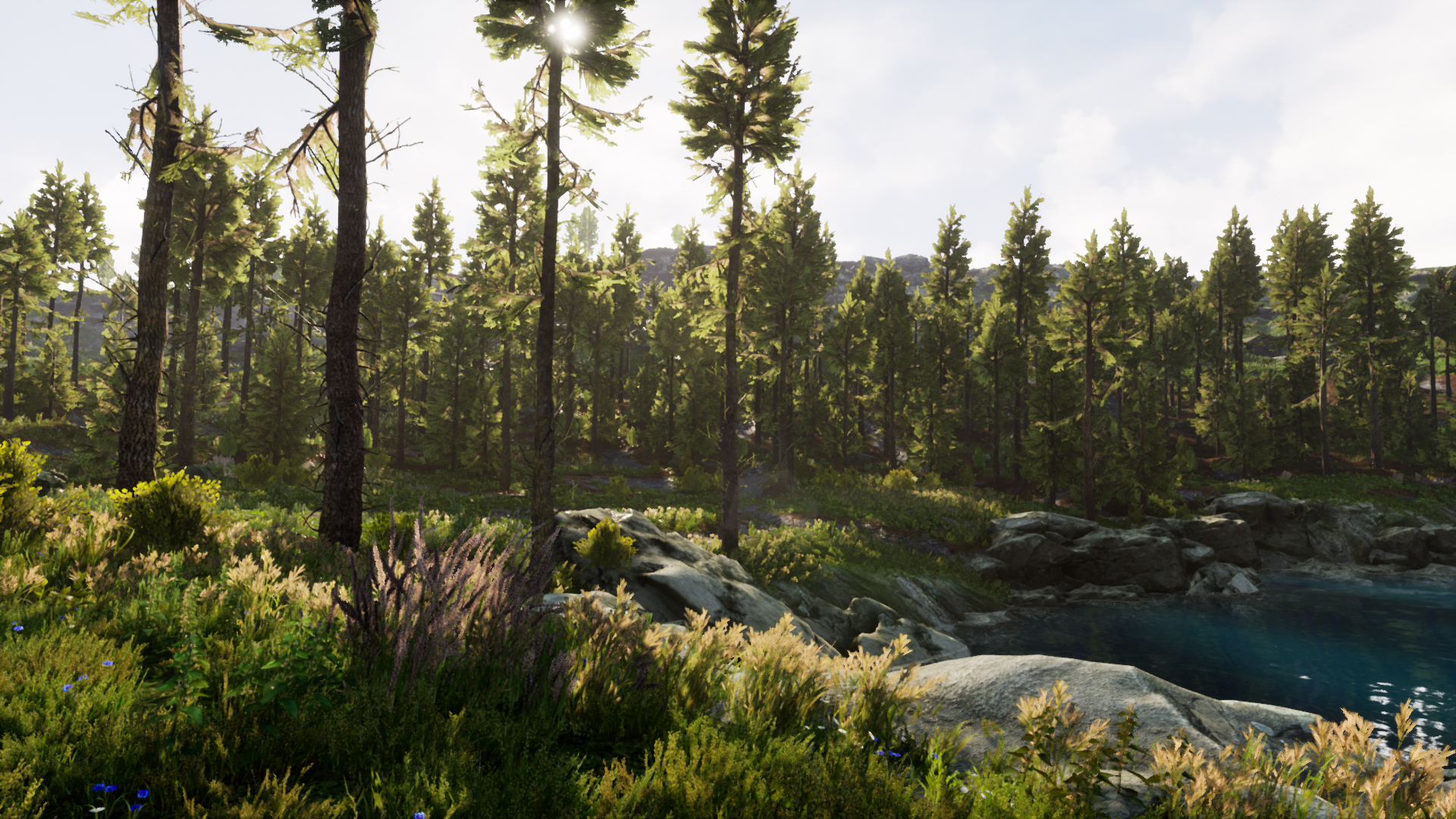 Download Unreal (UE4) Assets FREE Landscape Pro 3 - Automatic Natural ...