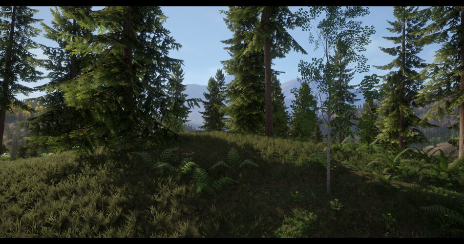 Realistic Forest Pack