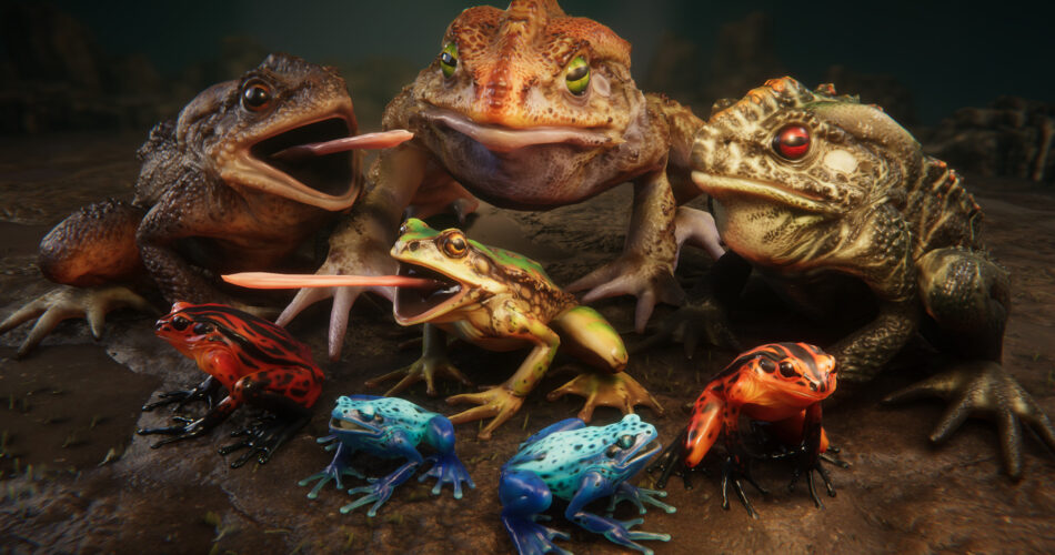 Frogs pack