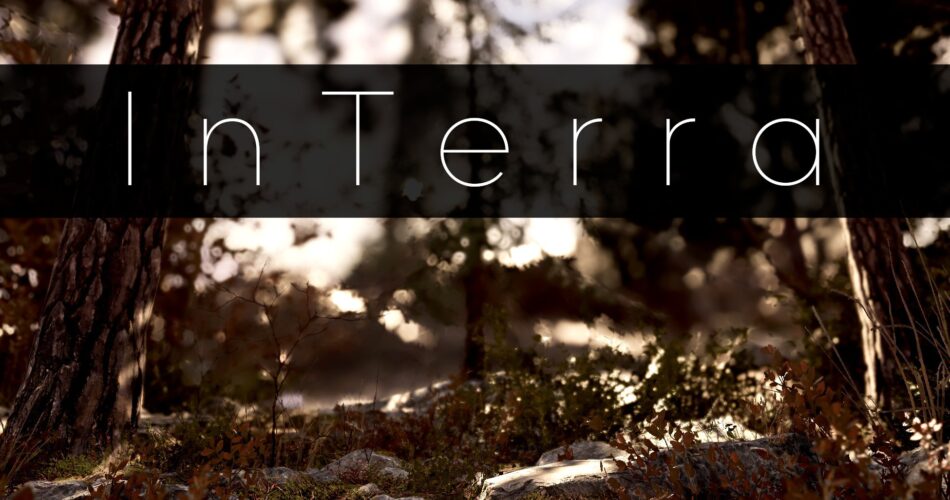 InTerra - Shaders for Terrain & its Objects