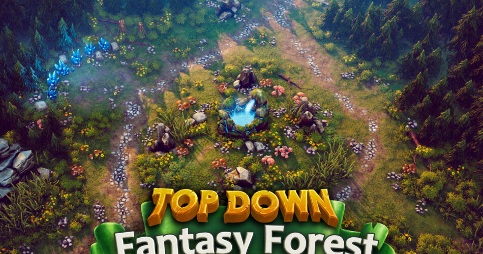 Top Down - Fantasy Forest