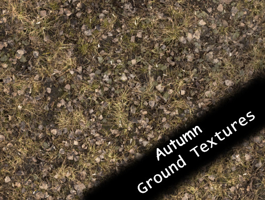 Autumn Ground Textures