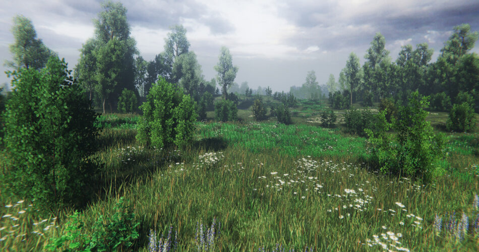 Nature Package - Swamp,Forest Environment